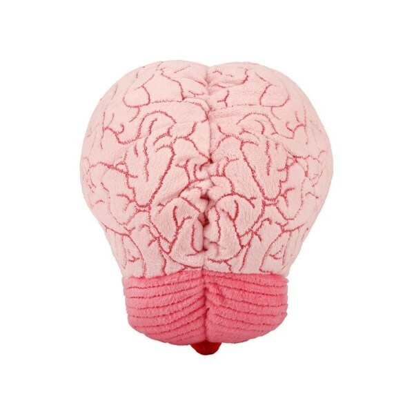 Brain Plush